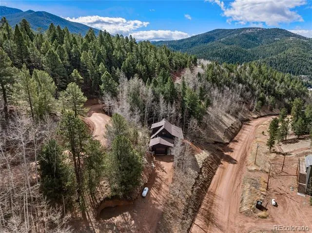 60 Beaver Pond Road Divide, CO 80814