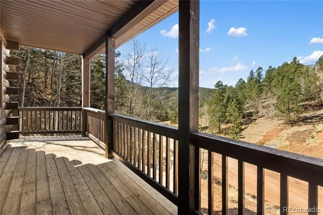 60 Beaver Pond Road Divide, CO 80814