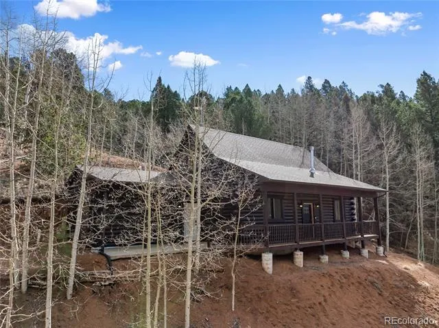 60 Beaver Pond Road Divide, CO 80814