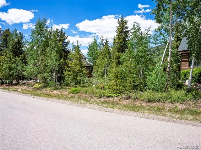 281 Elk Circle Dillon, CO 80435