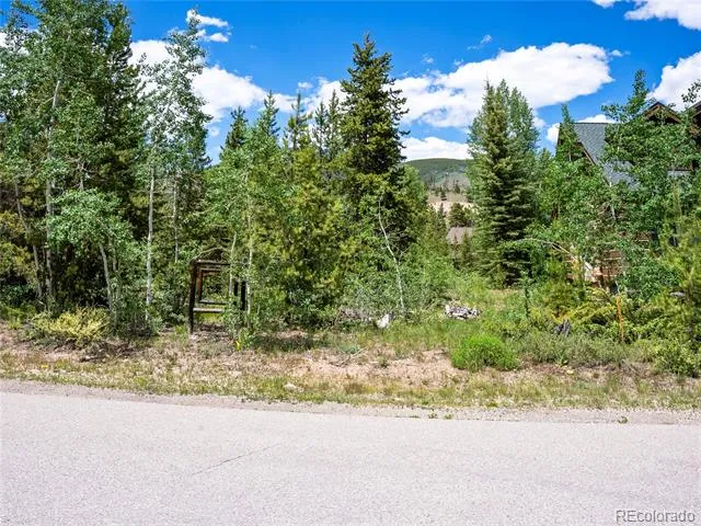 281 Elk Circle Dillon, CO 80435