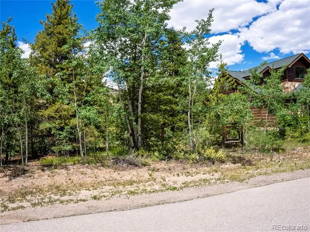 281 Elk Circle Dillon, CO 80435