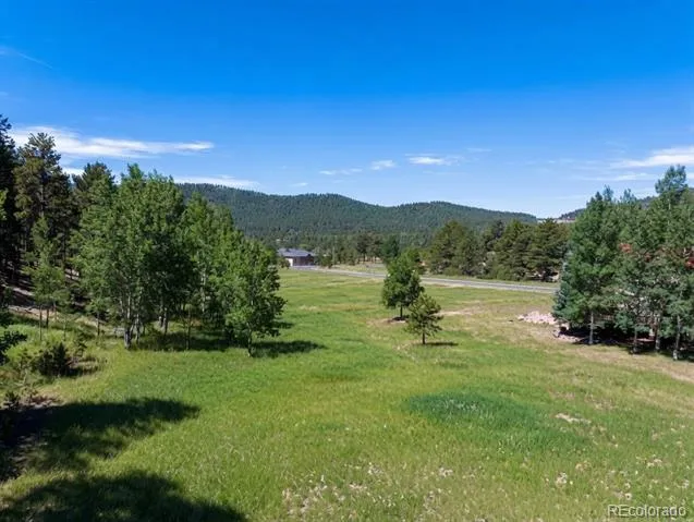 921 Heather Court Woodland Park, CO 80863
