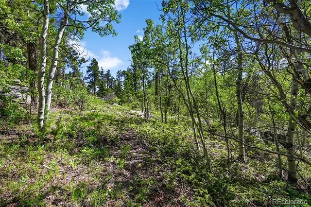 900 Rudi Lane Golden, CO 80403