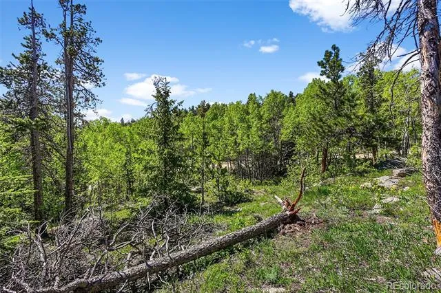 900 Rudi Lane Golden, CO 80403