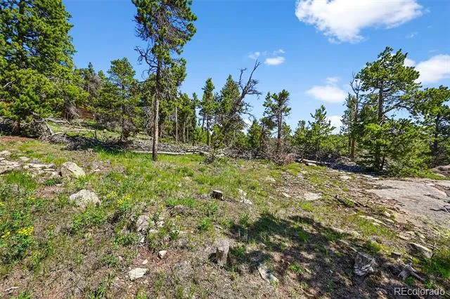 900 Rudi Lane Golden, CO 80403