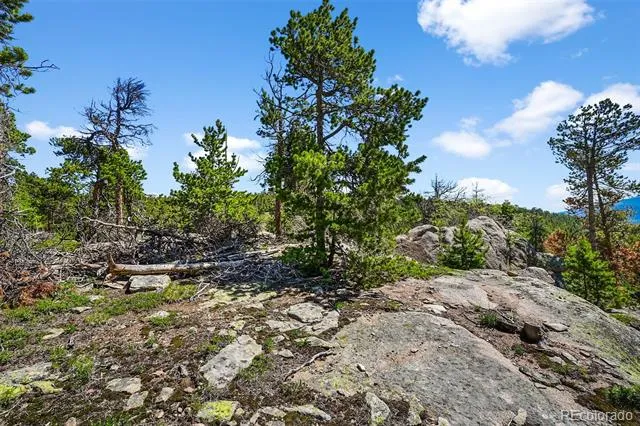 900 Rudi Lane Golden, CO 80403