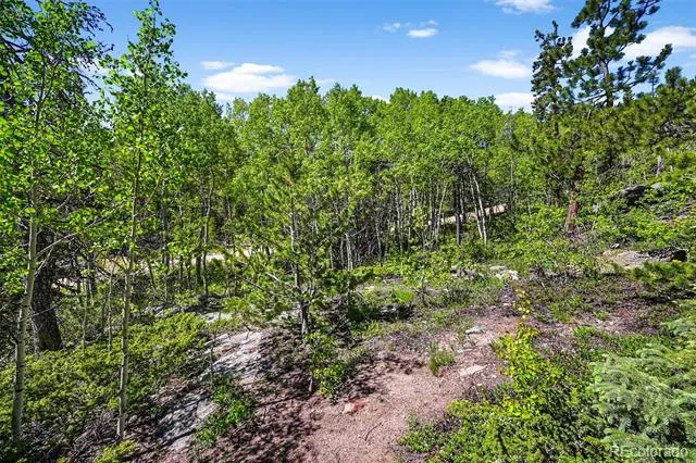 900 Rudi Lane Golden, CO 80403