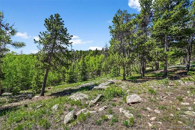 900 Rudi Lane Golden, CO 80403