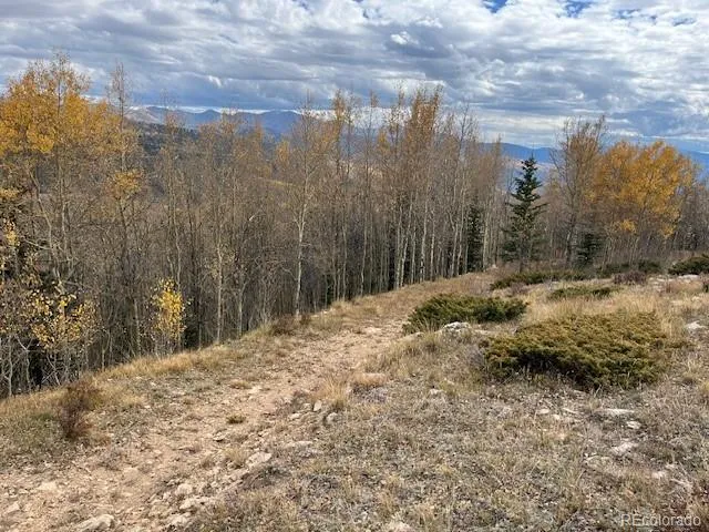 Lot 6557 Schlueter Road San Luis, CO 81152