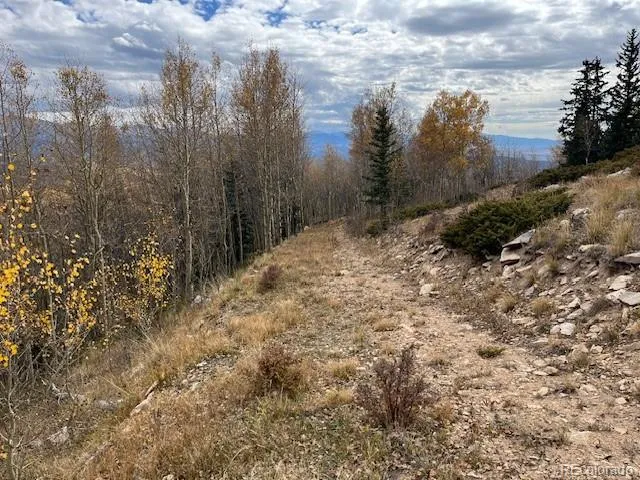 Lot 6557 Schlueter Road San Luis, CO 81152
