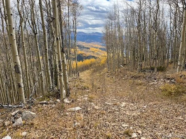 Lot 6557 Schlueter Road San Luis, CO 81152
