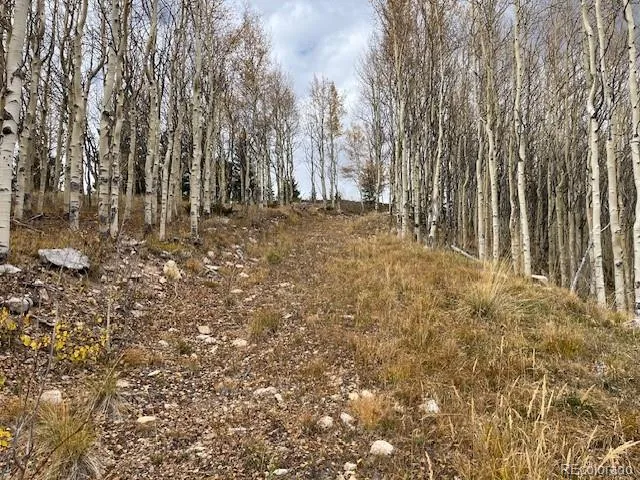 Lot 6557 Schlueter Road San Luis, CO 81152