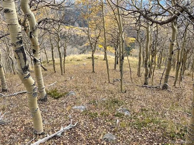 Lot 6557 Schlueter Road San Luis, CO 81152