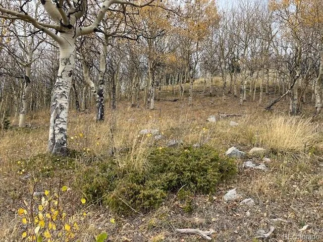 Lot 6557 Schlueter Road San Luis, CO 81152