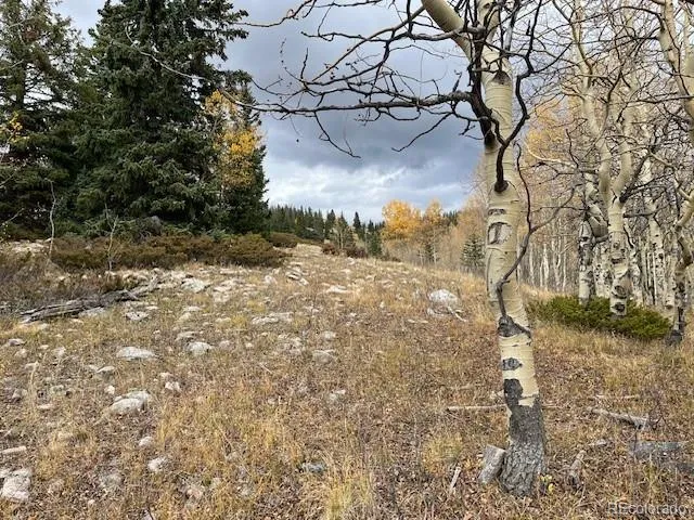 Lot 6557 Schlueter Road San Luis, CO 81152