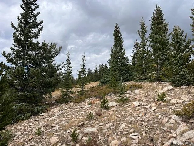 Lot 6557 Schlueter Road San Luis, CO 81152