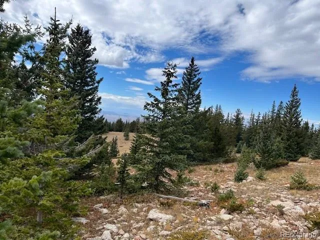 Lot 6557 Schlueter Road San Luis, CO 81152