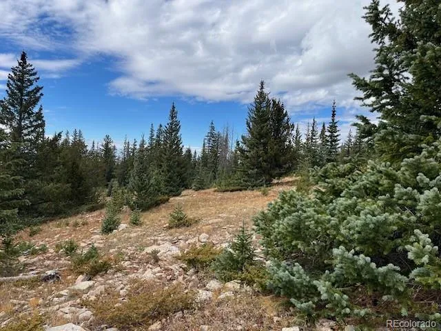 Lot 6557 Schlueter Road San Luis, CO 81152