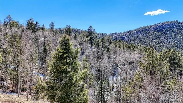 513 Last Dollar Drive Cripple Creek, CO 80813