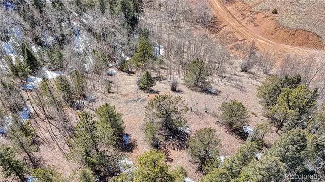 513 Last Dollar Drive Cripple Creek, CO 80813