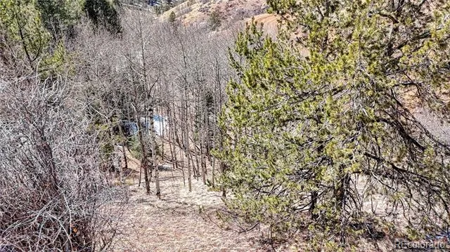 513 Last Dollar Drive Cripple Creek, CO 80813