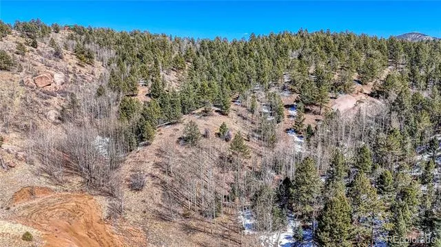 513 Last Dollar Drive Cripple Creek, CO 80813