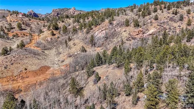 513 Last Dollar Drive Cripple Creek, CO 80813