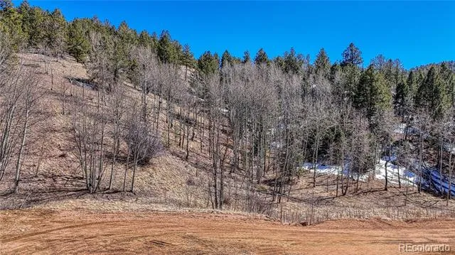 513 Last Dollar Drive Cripple Creek, CO 80813