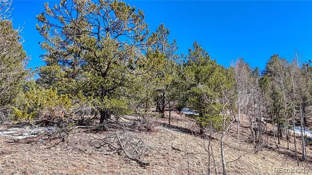 513 Last Dollar Drive Cripple Creek, CO 80813