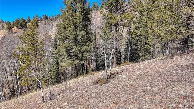 513 Last Dollar Drive Cripple Creek, CO 80813