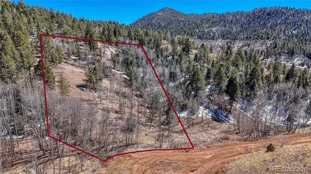 513 Last Dollar Drive Cripple Creek, CO 80813