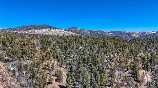 513 Last Dollar Drive Cripple Creek, CO 80813