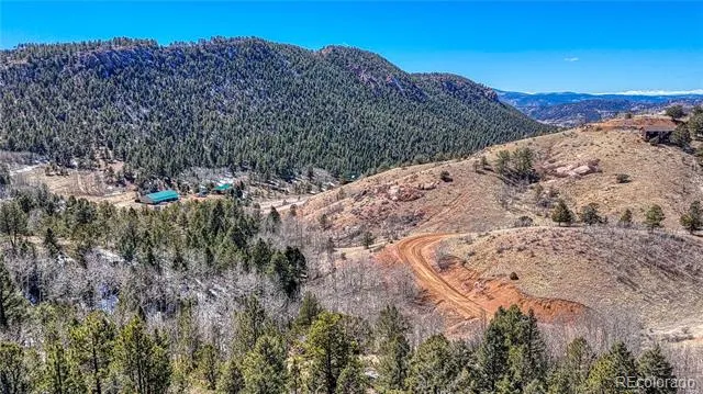 513 Last Dollar Drive Cripple Creek, CO 80813