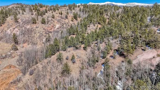 513 Last Dollar Drive Cripple Creek, CO 80813