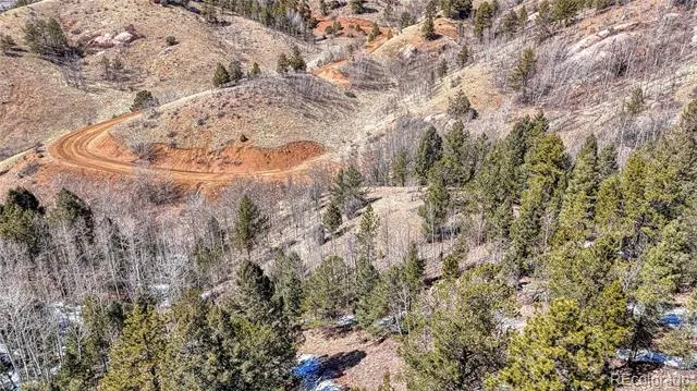 513 Last Dollar Drive Cripple Creek, CO 80813