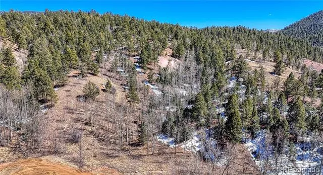 513 Last Dollar Drive Cripple Creek, CO 80813