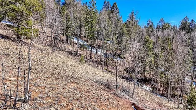 513 Last Dollar Drive Cripple Creek, CO 80813