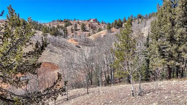 513 Last Dollar Drive Cripple Creek, CO 80813