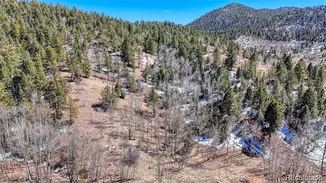 513 Last Dollar Drive Cripple Creek, CO 80813