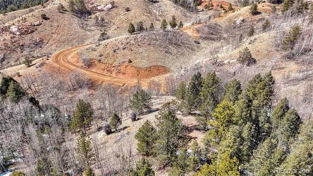 513 Last Dollar Drive Cripple Creek, CO 80813
