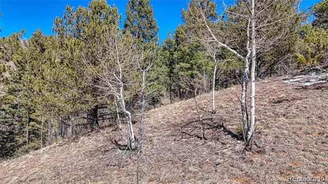 513 Last Dollar Drive Cripple Creek, CO 80813