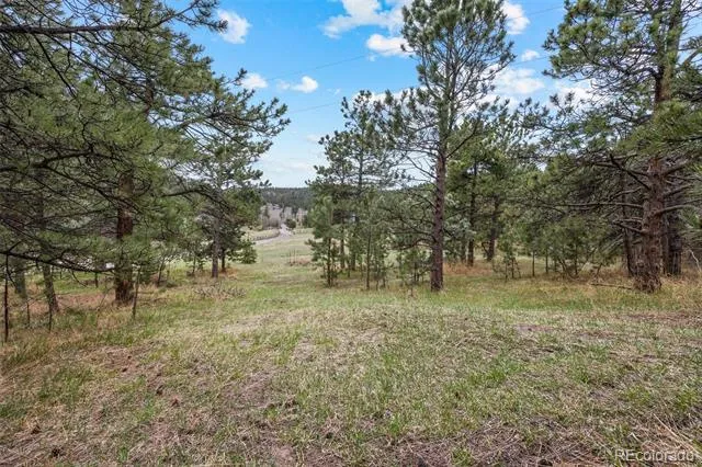 Address Not Shown Evergreen, CO 80439