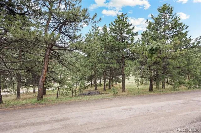 Address Not Shown Evergreen, CO 80439