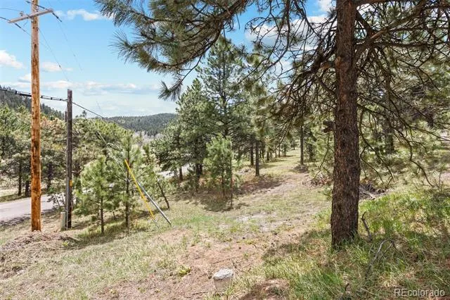 Address Not Shown Evergreen, CO 80439