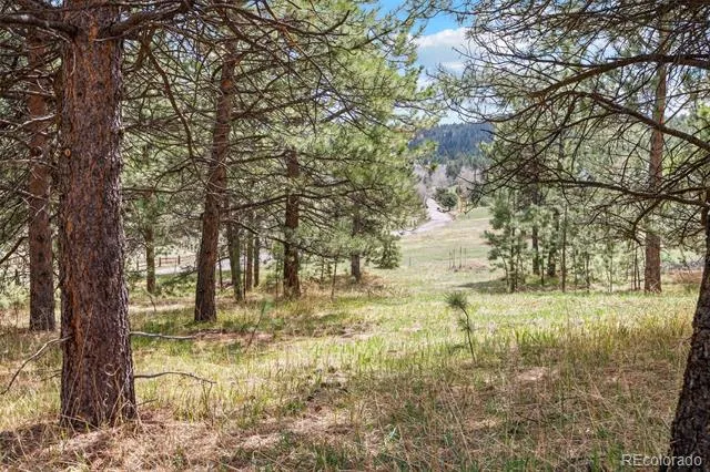 Address Not Shown Evergreen, CO 80439