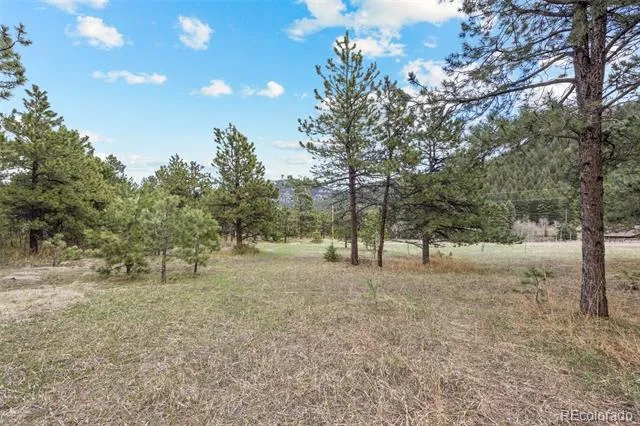 Address Not Shown Evergreen, CO 80439