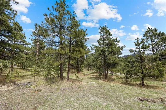 Address Not Shown Evergreen, CO 80439