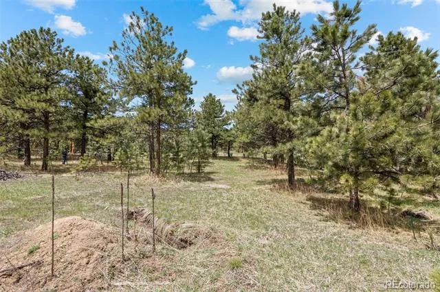 Address Not Shown Evergreen, CO 80439
