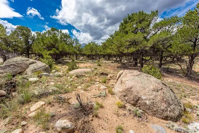 30224 US Highway 24 Buena Vista, CO 81211